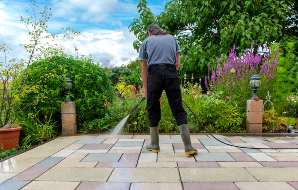 Best Fence Cleaning and Maintenance in El Dorado Springs, MO